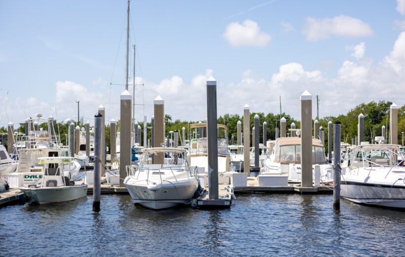 StockSnap_VBZO6FHEB2